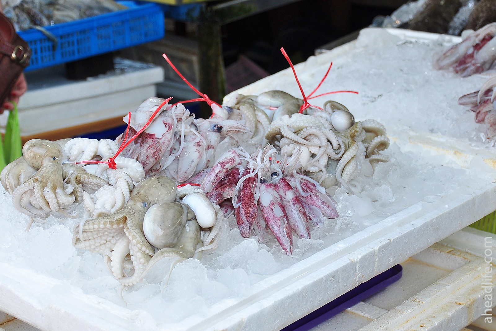 Кальмары и осьминоги на рыбном рынке Раваи