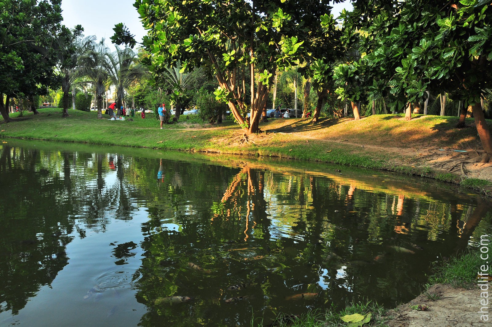 Парк с прудо и рыбками рядом с Sathan Hot Spring